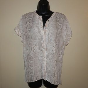 Tahari Brown & Light Tan Buttoned Blouse